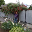 ���������� ���������, ���� ������� ������, 50 ���, ������������ ��� ������, ����� � ���������, c�������� ���������