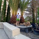 ���������� ���������, ���� ������� ��������, 36 ���, ������������ ��� ������, ����� � ���������