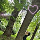 ���������� �����, ���� ������� �������, 50 ���, ������������ ��� ������, ����� � ���������