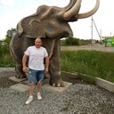 ���������� �����, ���� ������� ������, 36 ���, ������������ ��� ������, ����� � ���������