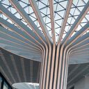 ���������� ������, ���� ������� ����, 35 ���, ������������ ��� ������, ����� � ���������