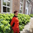  Sint-Truiden,   , 27 ,   c , 