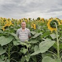 ���������� ������, ���� ������� ������, 56 ���, ������������ ��� ������, ����� � ���������