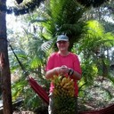 ���������� ����������-���������, ���� ������� ���������, 60 ���, ������������ ��� ������, ����� � ���������, c�������� ���������