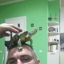  ,   , 41 ,  