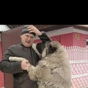  ,   , 48 ,   ,   , c 