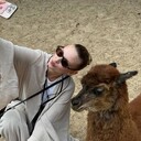 ���������� ������, ���� ������� �����, 29 ���, ������������ ��� ������, ����� � ���������