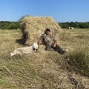 ���������� ������, ���� ������� �������, 40 ���, ������������ ��� ������, ����� � ���������, c�������� ���������, ���������