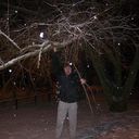  -,   , 39 ,   ,   , c 