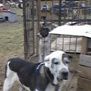 ���������� ������, ���� ������� ����, 58 ���, ������������ ��� ����� � ���������, c�������� ���������