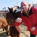 ���������� ������, ���� ������� ������, 39 ���, ������������ ��� ����� � ���������, c�������� ���������