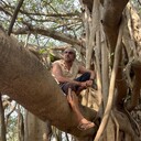 ���������� ���������, ���� ������� YS, 53 ����, ������������ ��� ������, ����� � ���������, c�������� ���������