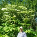 ���������� ������������, ���� ������� ������, 62 ����, ������������ ��� ������, ����� � ���������, c�������� ���������