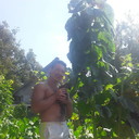 ���������� ����, ���� ������� ���������, 37 ���, ������������ ��� ����� � ���������, c�������� ���������