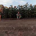 ���������� ���������, ���� ������� ���������, 20 ���, ������������ ��� ������, ����� � ���������, ���������