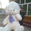  ,   , 32 ,   ,   , c 