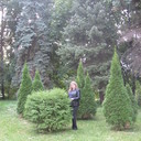 ���������� ������ ��������, ���� ������� �����, 45 ���, ������������ ��� ����� � ���������, c�������� ���������