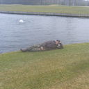 ���������� �������, ���� ������� ����, 39 ���, ������������ ��� ������, ����� � ���������, c�������� ���������