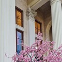  ,   , 39 ,   ,   , c , 