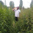 ���������� �������, ���� ������� ����, 48 ���, ������������ ��� ������, ����� � ���������, ���������