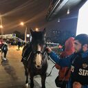 ���������� ������, ���� ����� �����, 25 ���, ������������ ��� ������, ����� � ���������, ���������