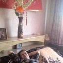  ,   , 57 ,   ,   , c 