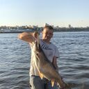 ���������� ���������, ���� ������� �����, 50 ���, ������������ ��� ������, ����� � ���������, c�������� ���������