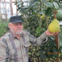  ,   Vitek, 76 ,   ,   , c 