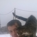  -,   , 46 ,   ,   , c 