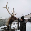  ,   , 34 ,  