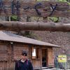  ,   Vanek, 36 ,   