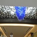  ,   , 55 ,     , c 