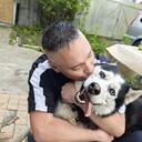  ,   , 41 ,   ,   , c , 