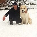 ���������� ����, ���� ������� ����, 41 ���, ������������ ��� ������, ����� � ���������, c�������� ���������