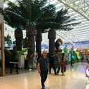 ���������� ������, ���� ������� Firuz, 50 ���, ������������ ��� ������, ����� � ���������, c�������� ���������