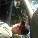 ���������� ������, ���� ������� Foxy baby, 36 ���, ������������ 