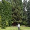  ,   ARAM, 47 ,     , c 