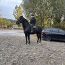 ���������� ������, ���� ������� Nodirbek, 35 ���, ������������ ��� ������, ����� � ���������, c�������� ���������, ���������