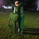 ���������� ���������������, ���� ������� ����, 37 ���, ������������ ��� ������, ����� � ���������, c�������� ���������, ���������