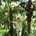 ���������� �����, ���� ������� ���������, 104 ����, ������������ ��� ����� � ���������, c�������� ���������