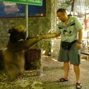 ���������� ��������, ���� ������� Francuz, 47 ���, ������������ ��� ������