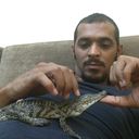  ,   Falcon 27, 40 ,   ,   , c , 