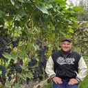 ���������� ��������, ���� ������� ����, 59 ���, ������������ ��� ������, ����� � ���������