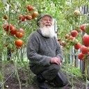  ,   , 82 ,     , c , 