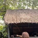 ���������� ������, ���� ������� Gldana, 25 ���, ������������ ��� ������, ����� � ���������, c�������� ���������