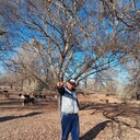 ���������� �������, ���� ������� ���������, 43 ����, ������������ ��� ������, ����� � ���������, c�������� ���������