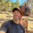 ���������� ������, ���� ������� �������, 40 ���, ������������ ��� ������, ����� � ���������, c�������� ���������, ���������