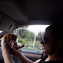 ���������� �������, ���� ������� ������, 32 ����, ������������ ��� ������, ����� � ���������