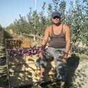  ,   , 50 ,   ,   , c 