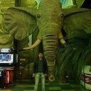 ���������� ������, ���� ������� ���� �������, 40 ���, ������������ 